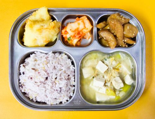8월 14일(목) 친환경급식