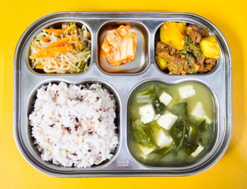 8월 19일(화) 친환경급식