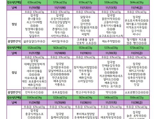 11월 친환경 급식 식단표