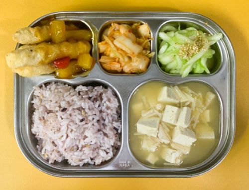 5월 29일(금) 친환경 유치원급식